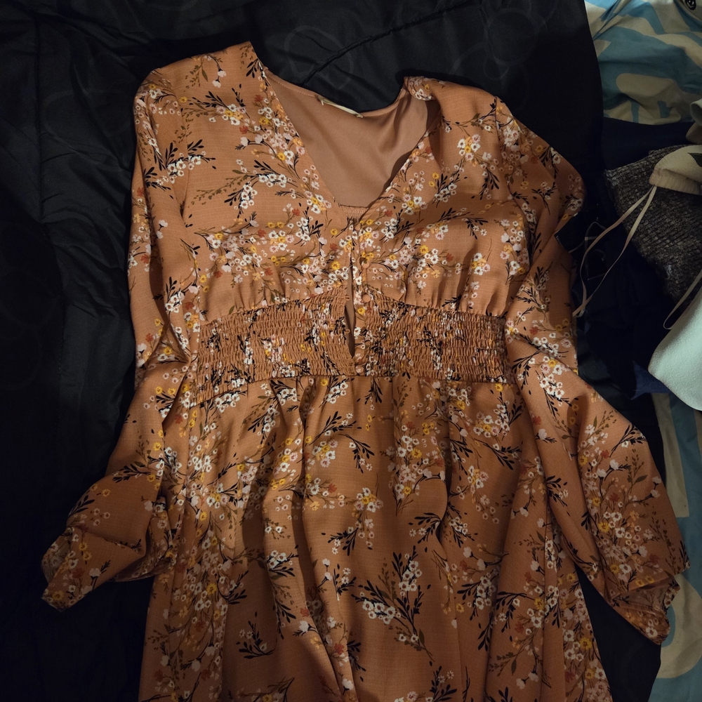 Altar'd State Terracotta Floral Dress